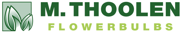 mthoolen logo